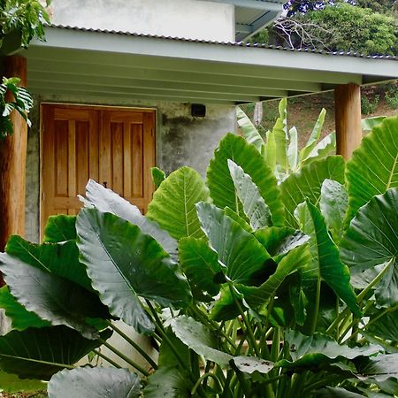 Casa Salvaje Vacation Rentals بوكاس تاون المظهر الخارجي الصورة