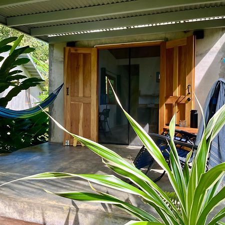 Casa Salvaje Vacation Rentals بوكاس تاون المظهر الخارجي الصورة