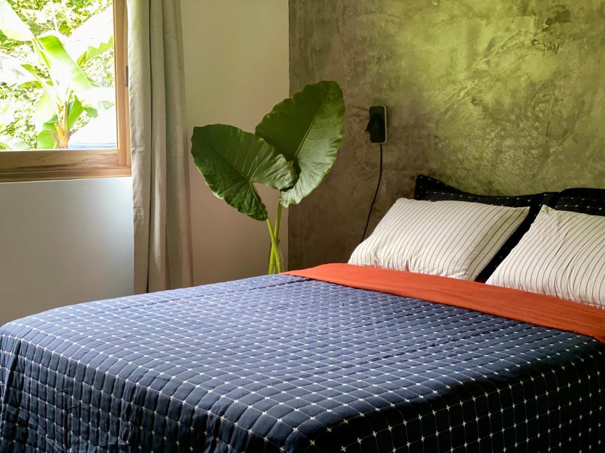 Casa Salvaje Vacation Rentals بوكاس تاون المظهر الخارجي الصورة