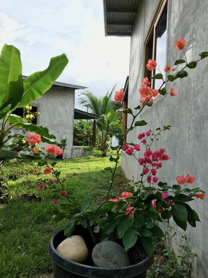 Casa Salvaje Vacation Rentals بوكاس تاون المظهر الخارجي الصورة