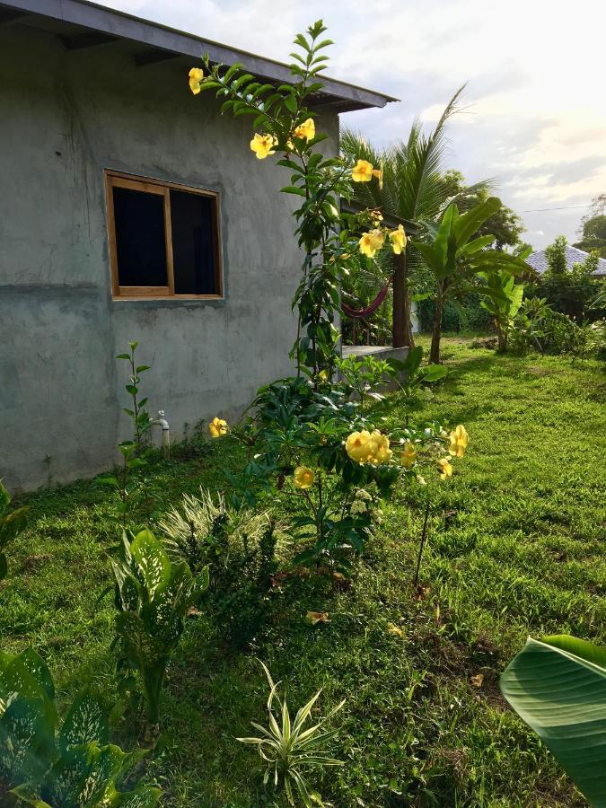 Casa Salvaje Vacation Rentals بوكاس تاون المظهر الخارجي الصورة