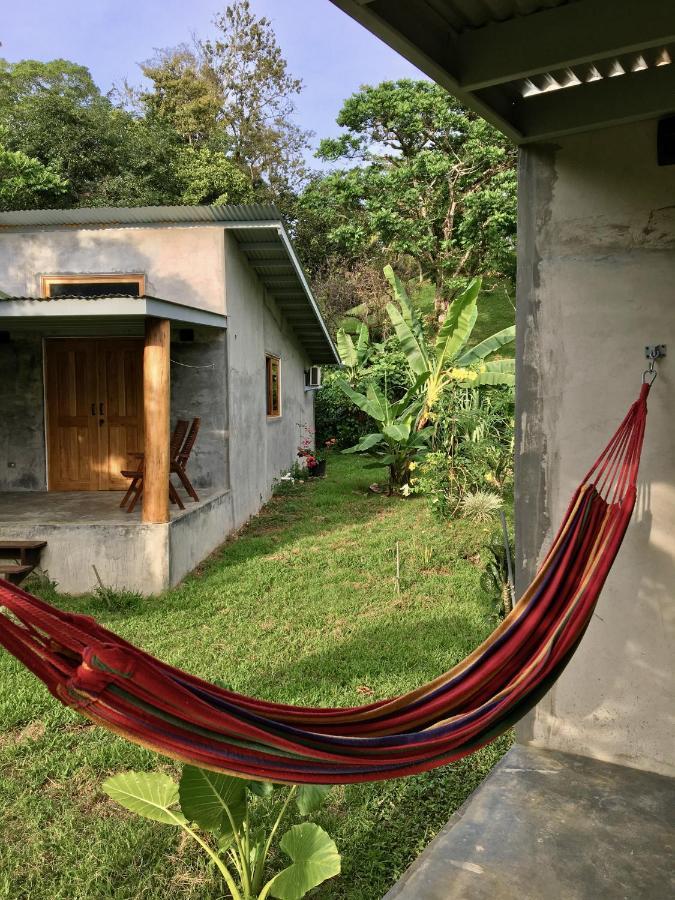 Casa Salvaje Vacation Rentals بوكاس تاون المظهر الخارجي الصورة