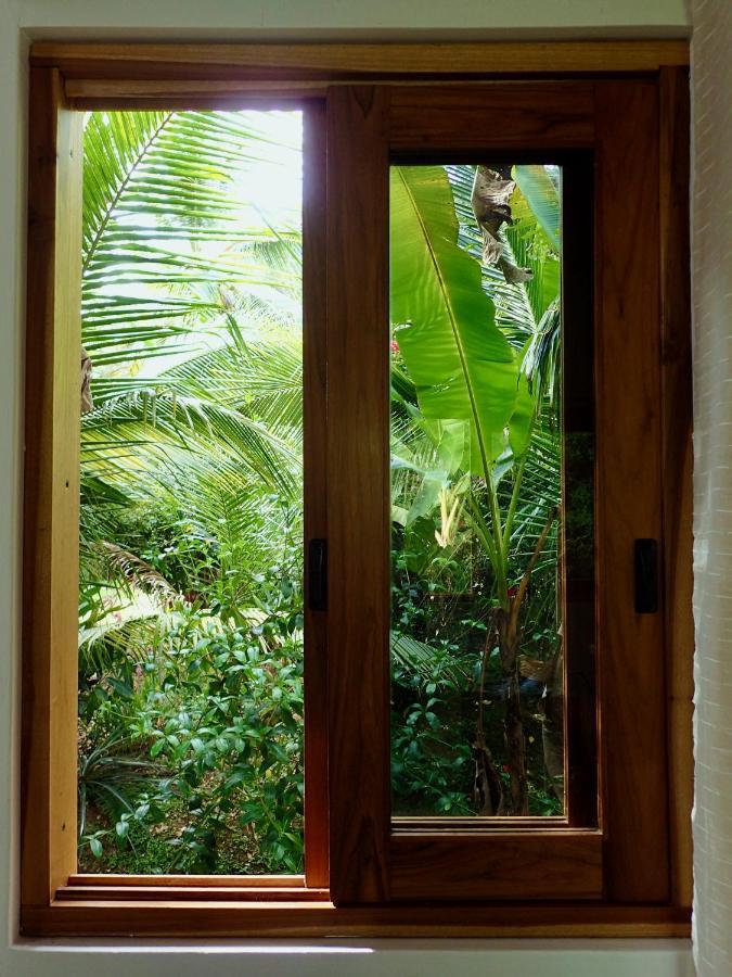 Casa Salvaje Vacation Rentals بوكاس تاون المظهر الخارجي الصورة