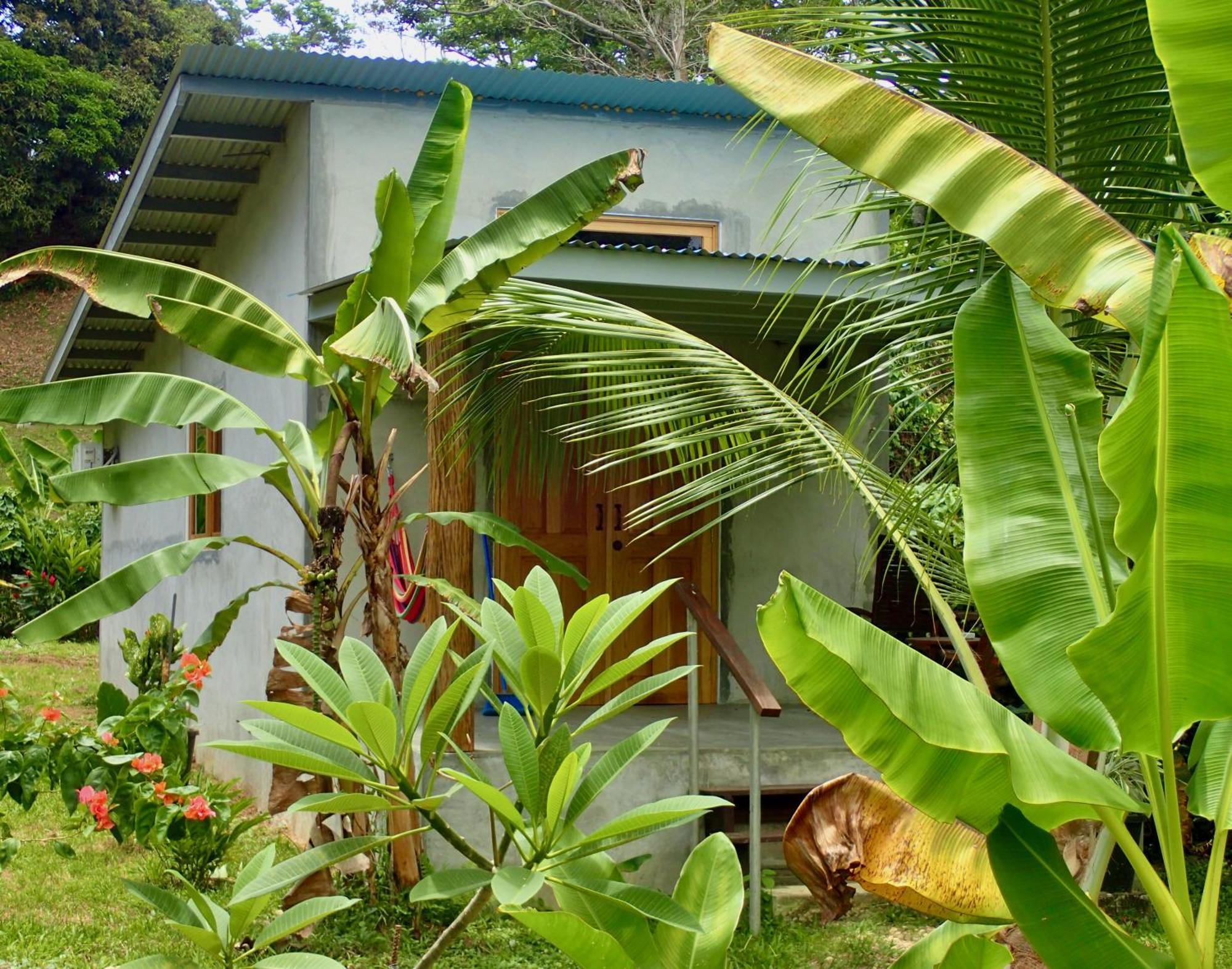 Casa Salvaje Vacation Rentals بوكاس تاون المظهر الخارجي الصورة