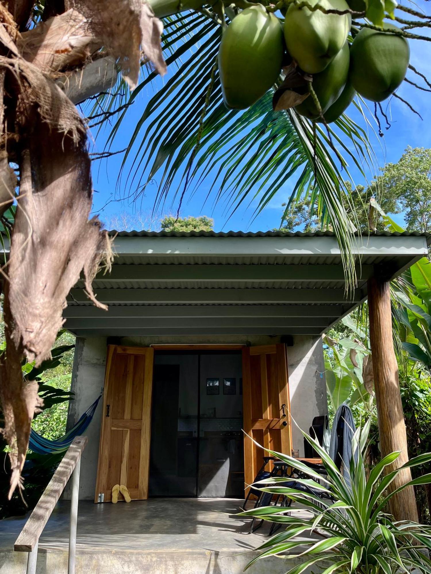 Casa Salvaje Vacation Rentals بوكاس تاون المظهر الخارجي الصورة